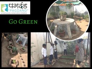 Garden developed by Eco club at gotri school @ Gotri School | Vadodara | Gujarat | India