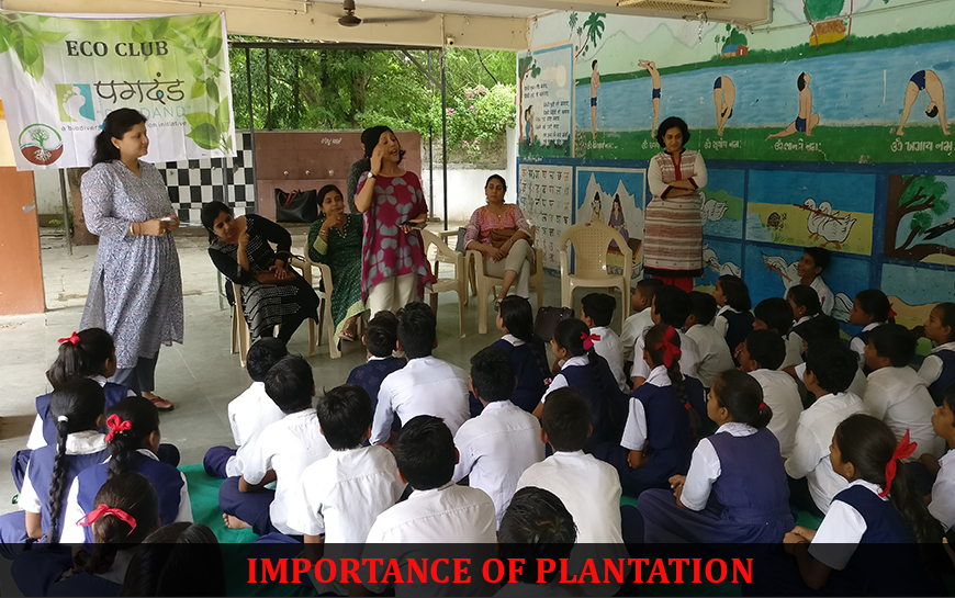 Plantation pagadand