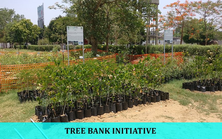 TreeBank