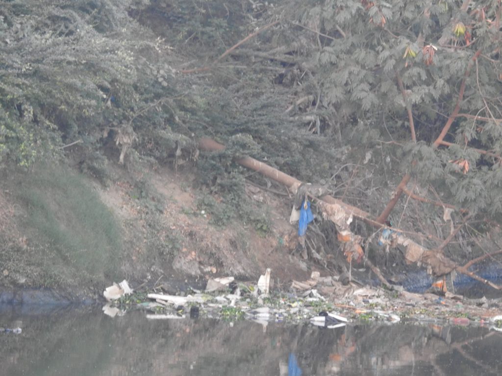 River pollution