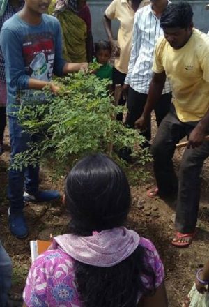 13707543_870938926375272_1044931793625295807_n