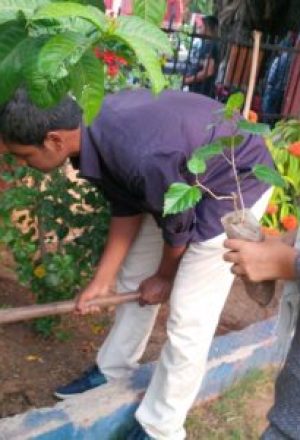 At-Fatehgunj-4-400x300