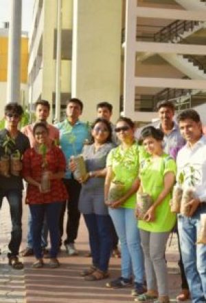 Higest-Plantation-4-400x300