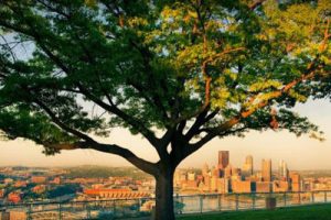 Urban-Forestry-Farming-1